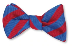 R. Hanauer Royal/Scarlet Bar Stripes Bow Tie
