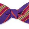 R. Hanauer Purple Davidson Stripes Bow Tie