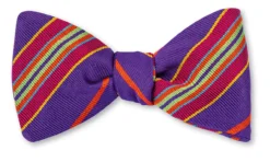 R. Hanauer Purple Davidson Stripes Bow Tie