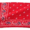 R. Hanauer Red Cotton Voille Pine Pocket Square