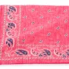 R. Hanauer Pink Cotton Voille Pine Pocket Square