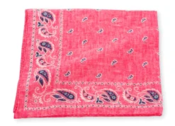 R. Hanauer Pink Cotton Voille Pine Pocket Square