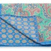 R. Hanauer Aqua/Blue Paisley/Medallion Pocket Square