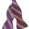 R. Hanauer Iverson Stripe Bowtie: Purple