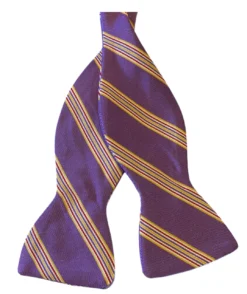 R. Hanauer Iverson Stripe Bowtie: Purple
