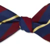 R. Hanauer Gloucestershire Striped Bowtie