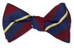 R. Hanauer Gloucestershire Striped Bowtie